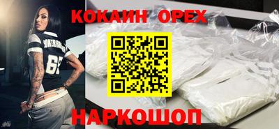 индика Камышлов