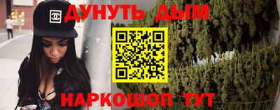 индика Камышлов